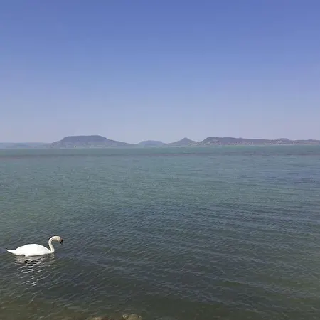 Balaton Blue Door *
